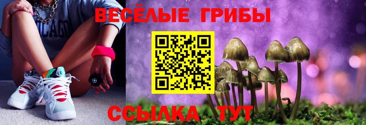 Псилоцибиновые грибы Psilocybe  Псилоцибиновые грибы мицелий  Спасск-Дальний  Вход с VPN 